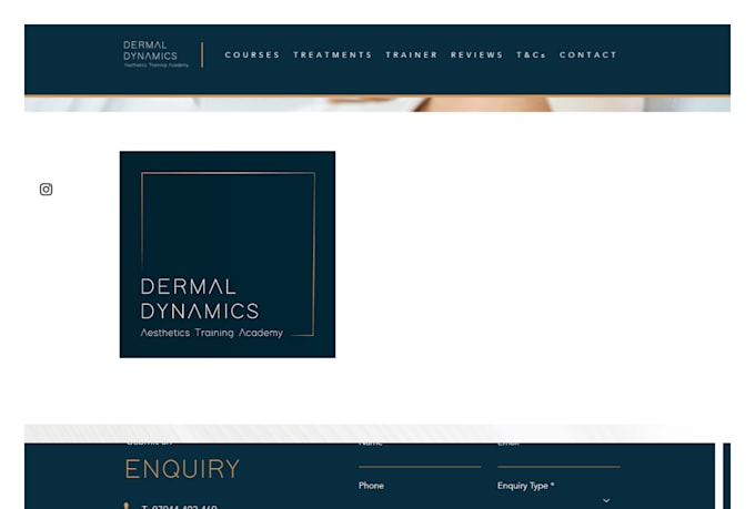 design a professional wordpress website for aesthetic clinics